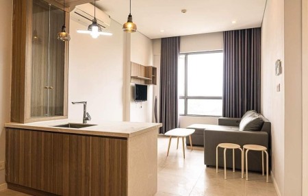 Cho Thuê Căn Hộ 1PN 45m2 Ở Đảo Kim Cương Giá Tốt