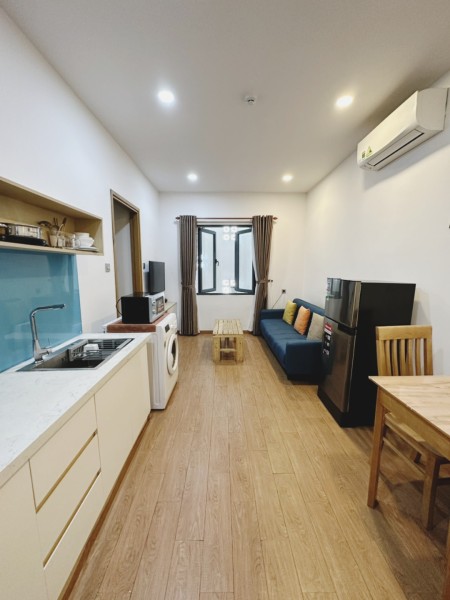 Cho thuê căn hộ 1PN đường Thạch Lam sát Nguyễn Văn Thoại