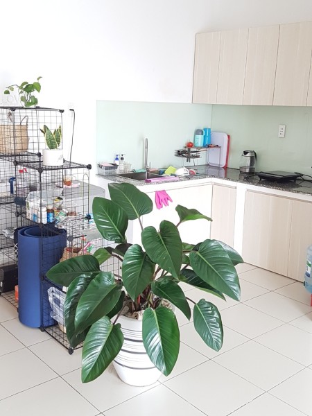 Cần cho thuê căn hộ 8X Đầm Sen 2pn, có nội thất ở liền giá 7tr5