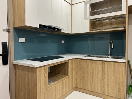 Cần cho thuê 1N+1 43m đồ cơ bản 9tr/tháng MPDV Vinhomes Smart City