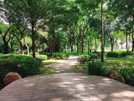 Chính chủ cần cho thuê căn 2 phòng ngủ-Diamond Celadon City, bao PQL, nhận nhà ở ngay.LH 0933149558