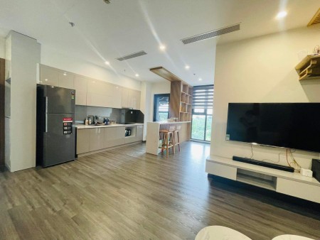 Chính chủ cho thuê căn 2N+1 2VS full đồ đẹp view thoáng Phân khu cao cấp The Zenpark