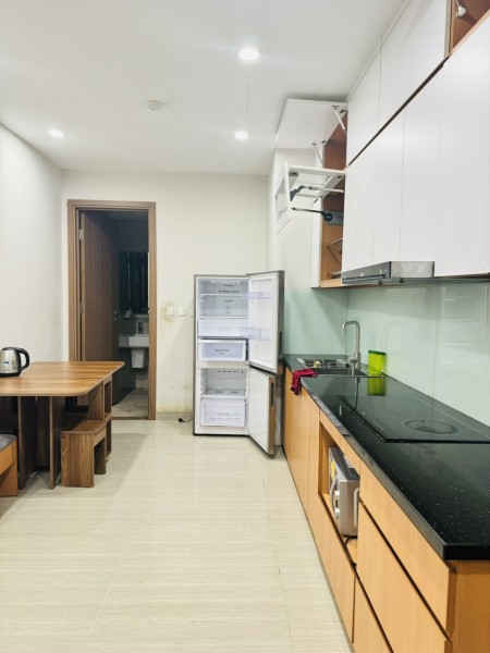 cho thuê căn hộ tại thelink 2pn đầy đủ nội thất giá 12tr/ tháng