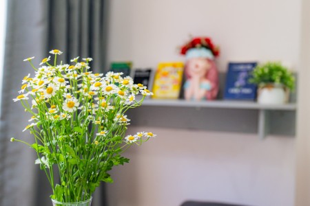 Cho thuê CHDV 25m2 tại Bến Nghé, Quận 1 đầy đủ nội thất