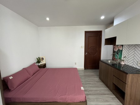 Cho thuê căn hộ mini cao cấp view đẹp dự án Phú Mỹ Hưng, Quận 7, Hồ Chí Minh