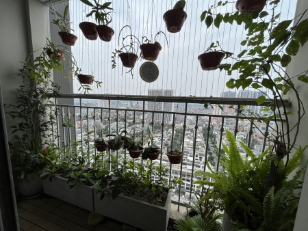 Chính chủ Cho thuê căn hộ chung cư cao cấp Vinhomes Gardenia - Hàm Nghi.