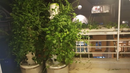 HỆ THỐNG CHO THUÊ CĂN HỘ 2PN Ban Công, DUPLEX  TRONG KDC HIM LAM Q7