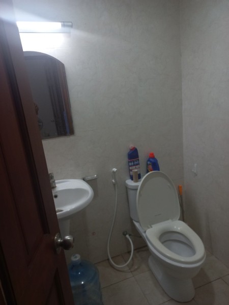 Chung cư Central Plaza, 91 Phạm Văn Hai, P3, Tân Bình: 71m2, 2p ngủ, Nt, 12tr