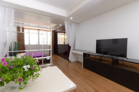 Cho thuê căn hộ 1 phòng ngủ đầy đủ nội thất máy giặt riêng bancol tại Quận 1