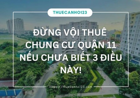 Đừng vội thuê chung cư Quận 11 nếu chưa biết 3 điều này!