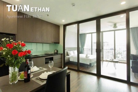 Cho thuê căn hộ 1PN Quận 3, gần công viên Tao Đàn, Hồ Con Rùa, Đại học Mở, Đại học Kiến Trúc