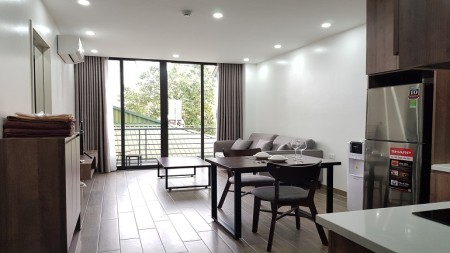 Căn hộ dịch vụ tại Tô Ngọc Vân, Tây Hồ, 50m2, 1PN, ban công, đầy đủ nội thất hiện đại