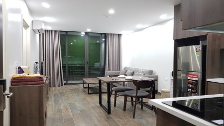 Căn hộ tại Tô Ngọc Vân, Tây Hồ, cho thuê căn 50m2, 1PN, đầy đủ nội thất hiện đại
