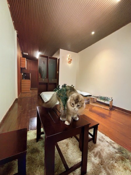 Thuê ngay căn studio, phòng thay đồ riêng, nội thất gỗ, 30m2 tại Đinh Bộ Lĩnh, Bình Thạnh