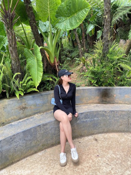 Mai Hoa