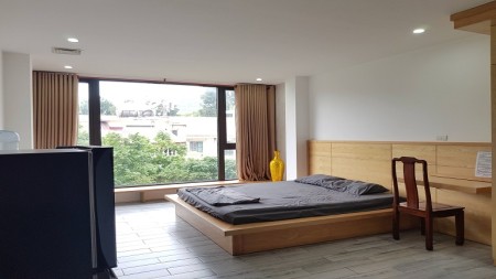 Cho thuê căn hộ dịch vụ tại Trần Quốc Toản, Hoàn Kiếm, 40m2, 1PN, đầy đủ nội thất đẹp hiện đại