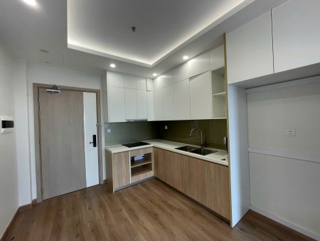 Cho Thuê Quỹ Căn 1N, 2N, 3N Tòa I1 imperia Smart City - View Đẹp Giá Tốt !