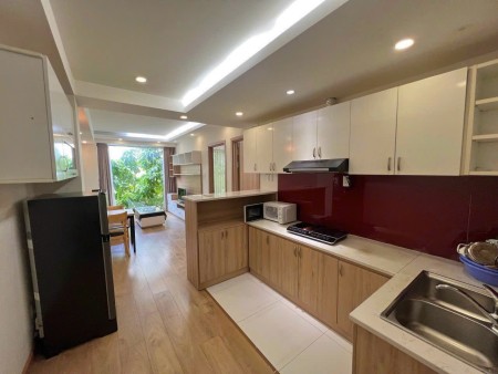 Cho thuê căn hộ Q1, 2PN 1PK cao cấp, gần CV Lê Văn Tám, giỏ hàng đa dạng hàng ngàn CHDV Full NT