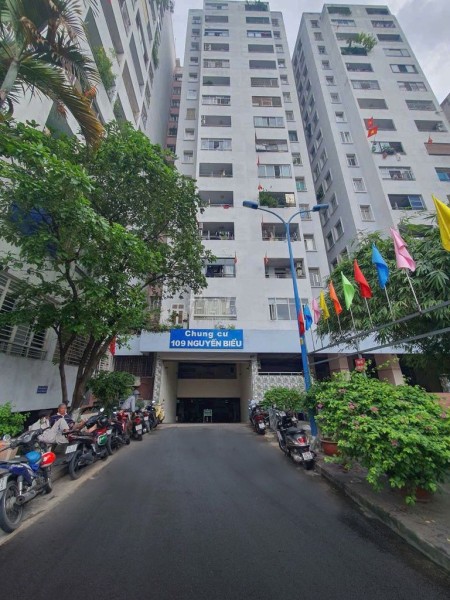 Cho thuê căn hộ chung cư 109 Nguyễn Biểu Q.5, DT 55m²,1 phòng ngủ, 1 toilet, đủ nội thất 9.5 triệu