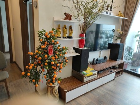 Cho thuê căn 2 phòng ngủ, đầy đủ nội thất. Liên hệ 0389869036