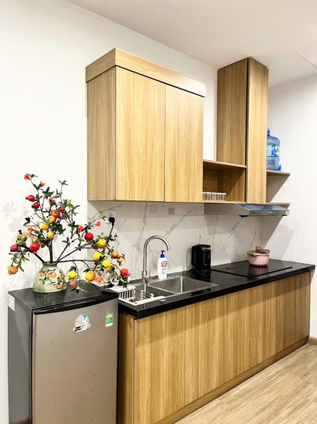 Ảnh 2 - Cho thuê studio đẹp – Có ban công, full nội thất – Pavilion