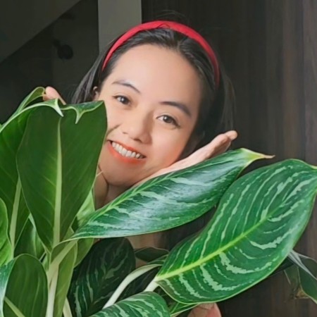 Lê Quỳnh