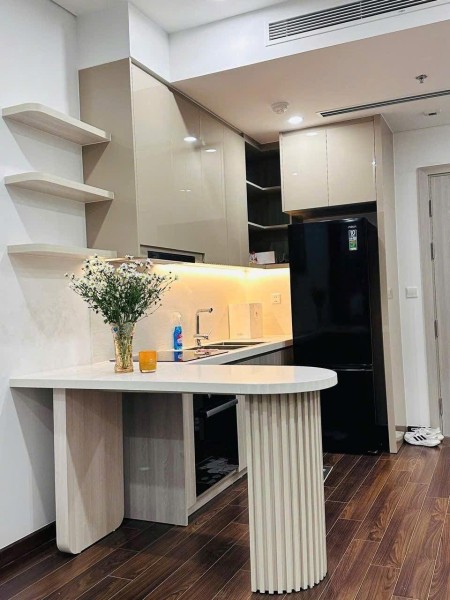 Cho thuê 1N+ 47m² MAS A - Giá rẻ nhất thị trường chỉ 11 tr/ tháng