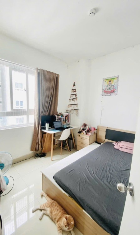 Chung cư Topaz Garden, Trịnh Đình Thảo, TP: 75m2, 2pn, có NT, 9triệu
