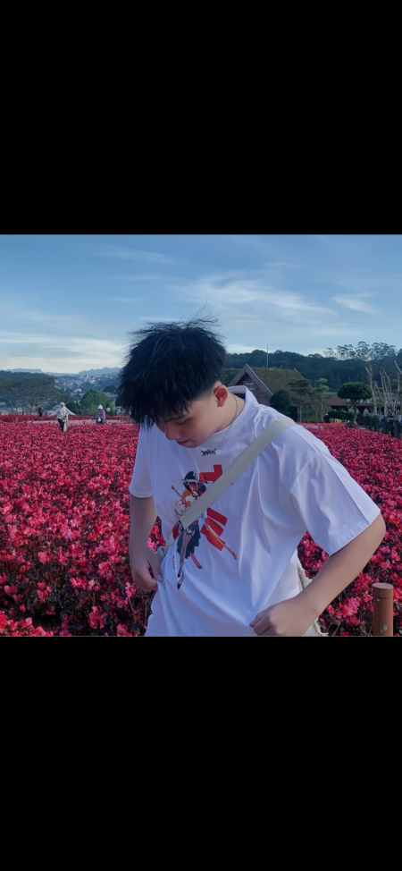 Nguyễn Hữu Hoài Tín