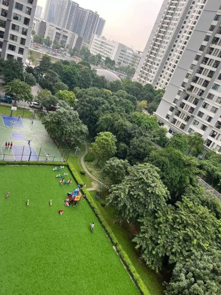 Ảnh 1 - Cho thuê 1PN Times City - Nhà đẹp như ảnh - Chủ dễ tính