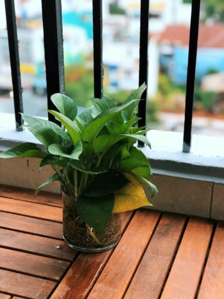 Đi đến slide 3