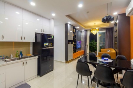 Cho thuê Diamond Lotus Riverside Quân 8, đầy đủ nội thất, 9,5 triệu VND, Q8, HCM