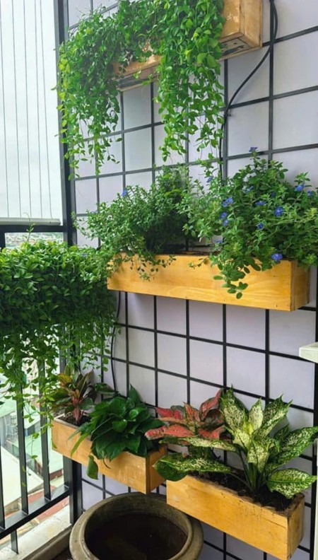 C/c Carillon 2, Trịnh Đình Thảo,Hòa Thạnh, TP: 78m2, 2p ngủ, 11tr/th