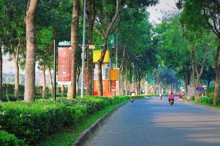 Đi đến slide 5