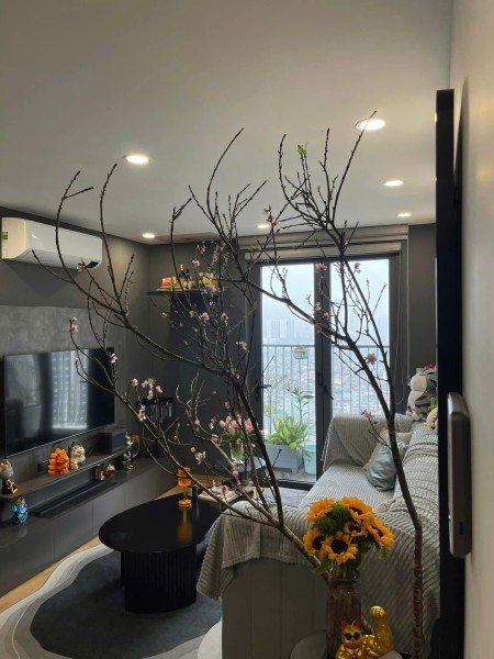 Cho thuê căn hộ chung cư Vincom Bà Triệu - Hai Bag Trưng 160m2 3PN 2wc full đồ 33tr