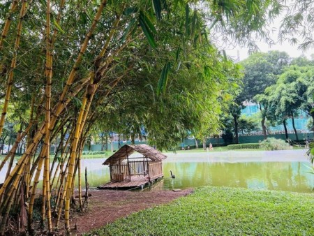 Đi đến slide 2