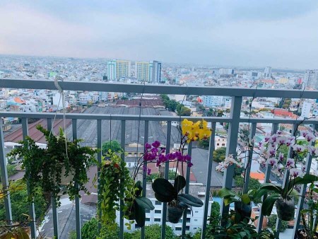 Đi đến slide 2