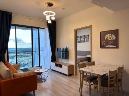 Full giỏ hàng giá tốt nhất thị trường cho thuê Vinhomes Grand Park Q9. Tư vấn và xem nhà 24/24 free
