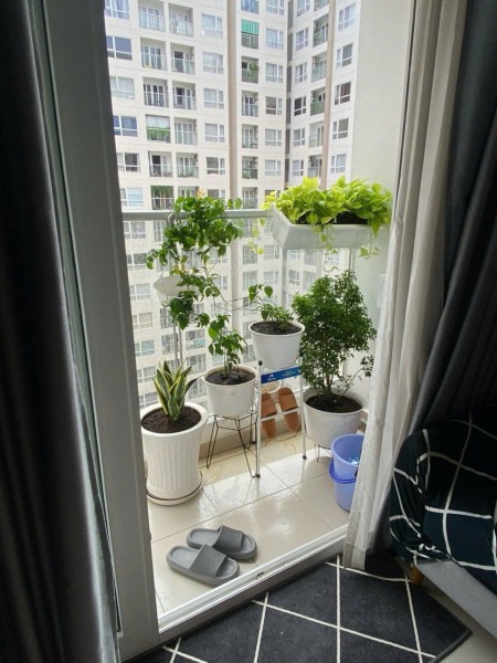 Ảnh 3 - Cho thuê căn hộ Sky Center , 74m2 , 2pn ,2wc , full nội thất , giá…