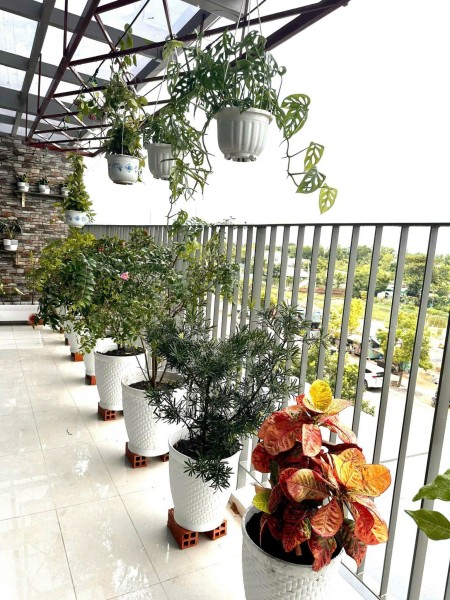 Đi đến slide 8