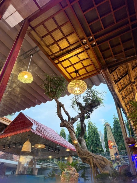 Đi đến slide 9