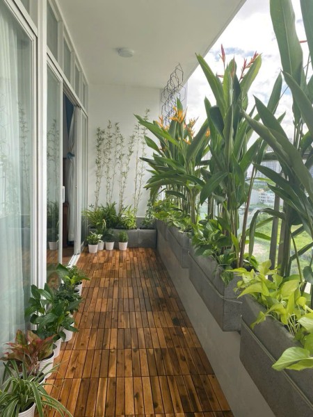 Ảnh 1 - Thuê Petroland Số 65 Mai Chí Thọ Q2 ( 150m,3pn giá 18tr/th) ban…