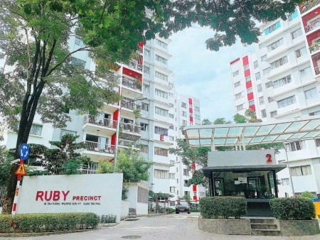 Căn hộ 2 phòng ngủ 2WC Ruby Celadon City full nội thất đẹp có giá 11tr/tháng