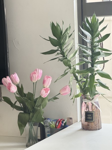Sale 50% PASS - nhượng lại phòng Q4