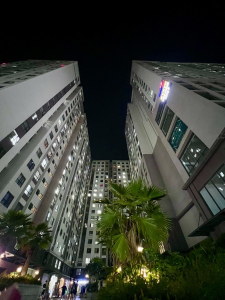 Cần cho thuê gấp căn hộ Tara số 1A đường Tạ Quang Bửu P6. Q8