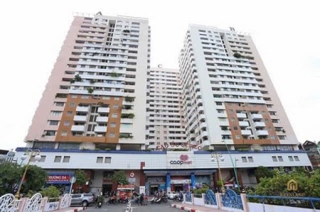 Cho thuê căn hộ cao cấp Screc Tower - 974A Trường Sa, Phường 12, Q. 3, Tp. HCM.