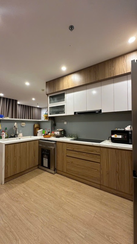 Cho thuê chung cư Vinhome Grand Park DT 70m2, 2PN+, full nội thất xịn chỉ 10 triệu/tháng