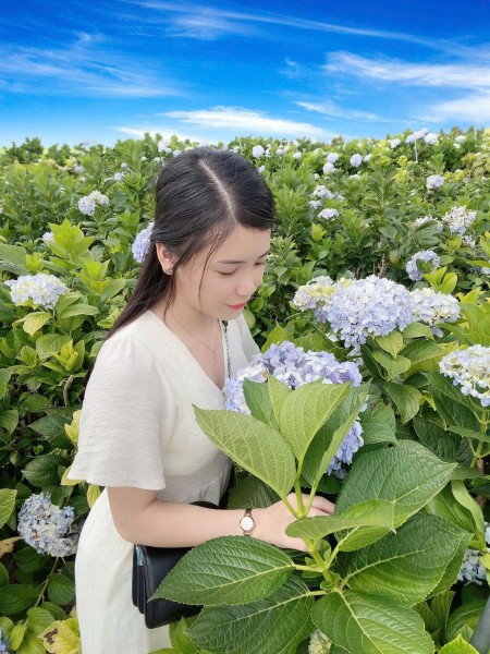Nguyễn Thị Kim Chung
