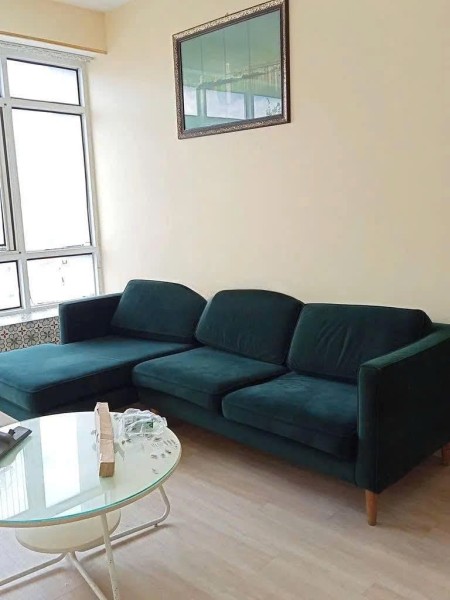 Ảnh 3 - Cần cho thuê căn hộ Ngọc Phương Nam - Âu Dương Lân, P2, Q8