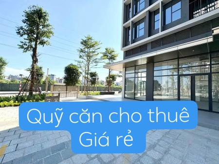 Quỹ cho thuê Lumi Hà Nội ngày 24/10 nhiều căn giá rất tốt